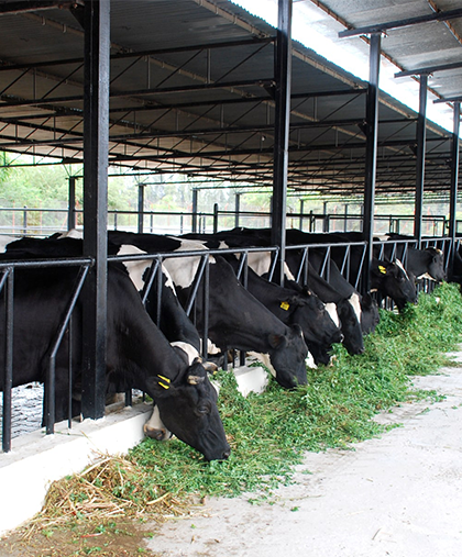 agro-farm agro-farm
